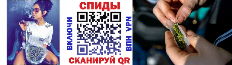 Бутират BDO 33%  Шагонар 