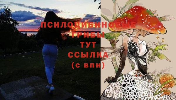 прущие крисы Баксан